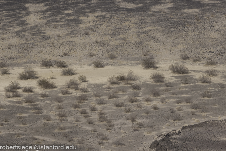 Desert Biogeography of Joshua Tree National Park